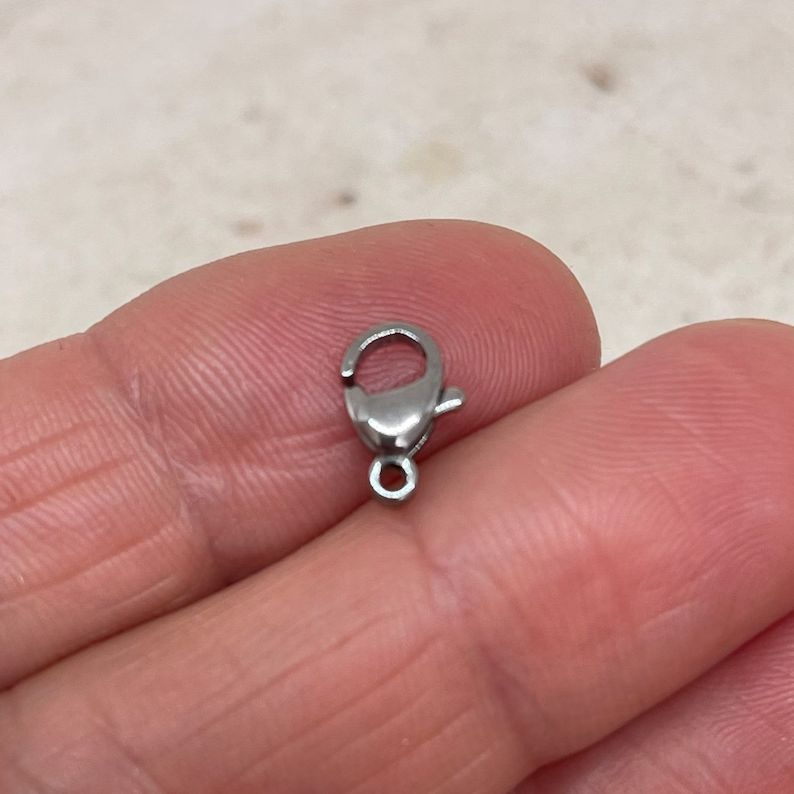 Edelstahl Karabiner Verschlüsse 10 St.