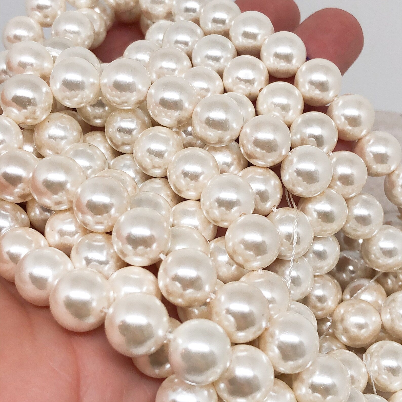 Muschelkern Perlen 4/6/8/10mm in Weiß