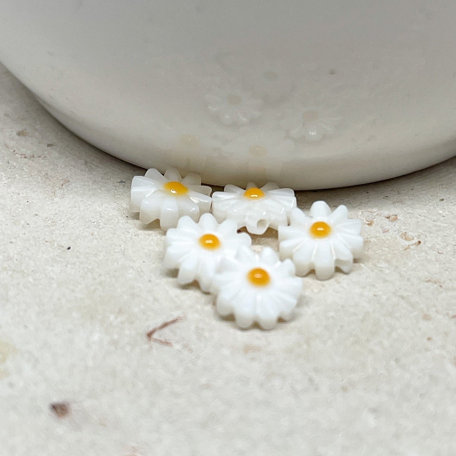 Perlmutt Gänseblümschen