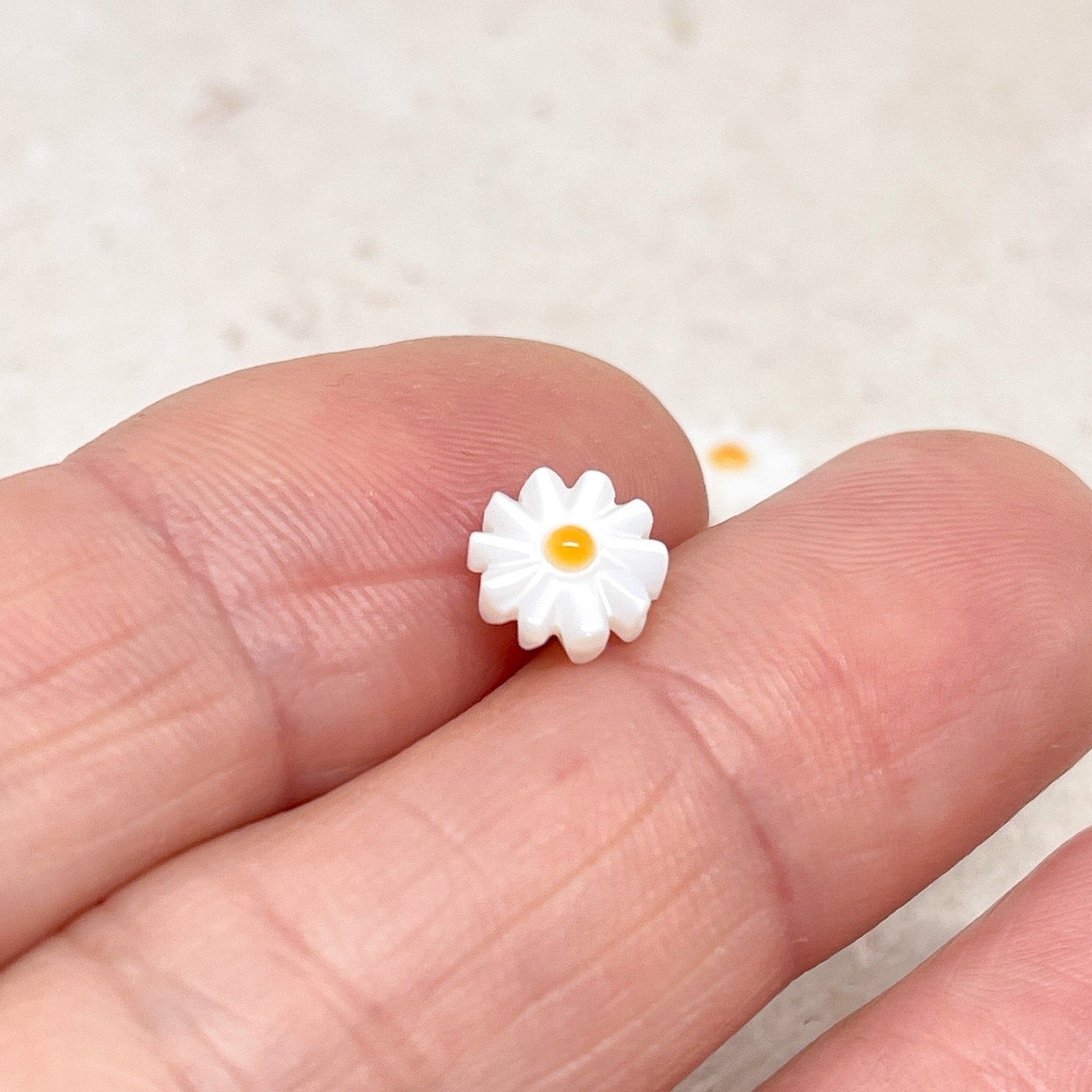 Perlmutt Gänseblümschen