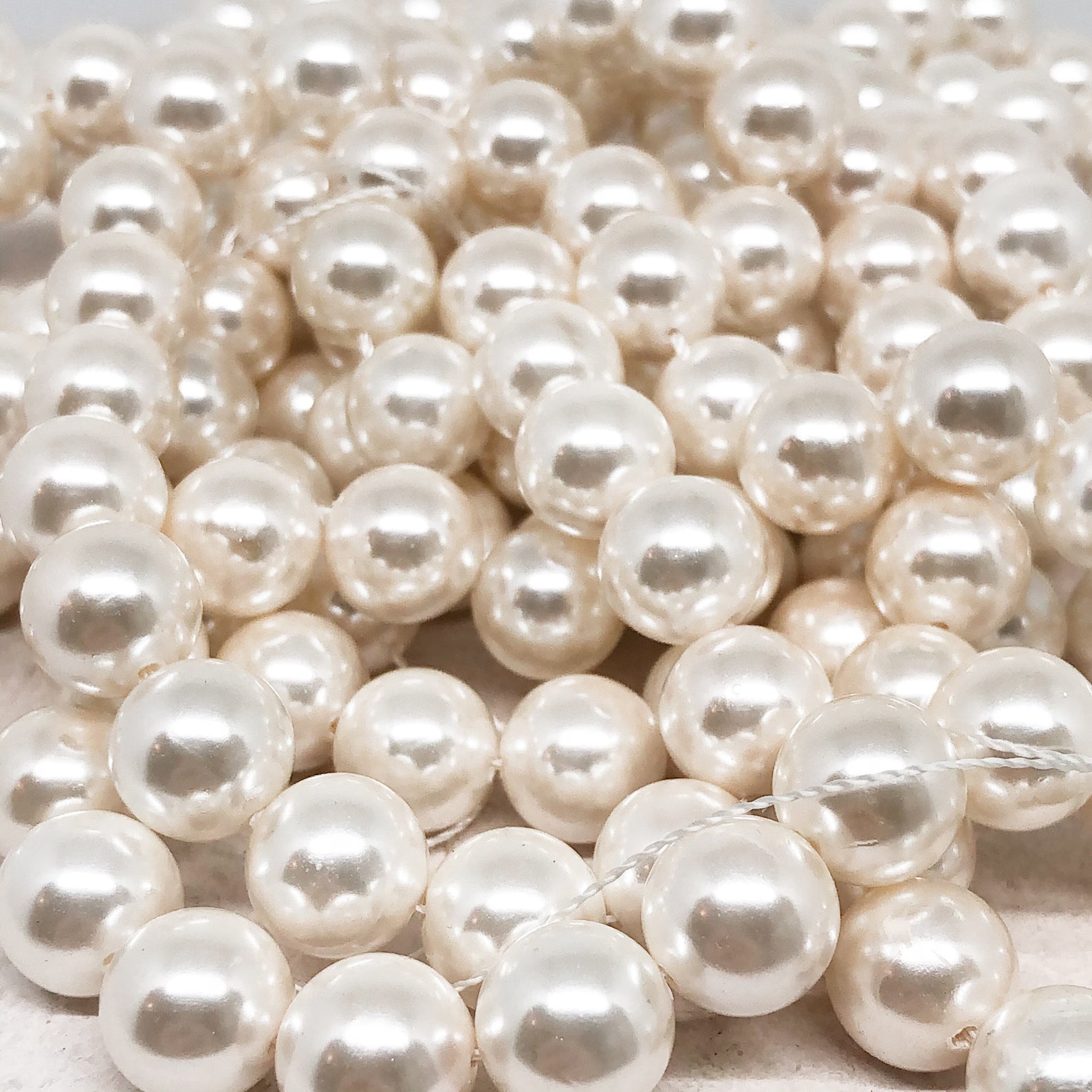 Muschelkern Perlen 4/6/8/10mm in Weiß