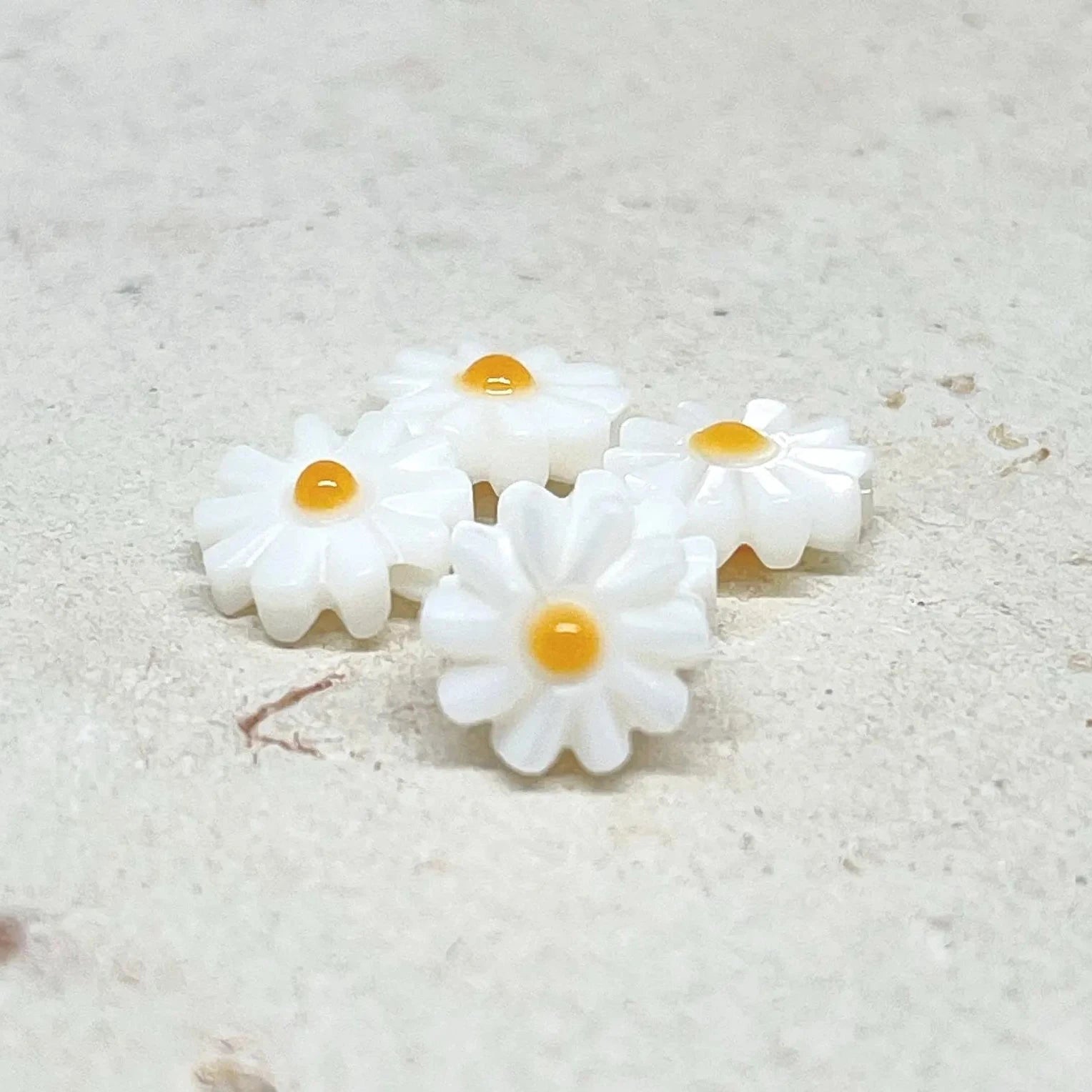 Perlmutt Gänseblümschen Blume