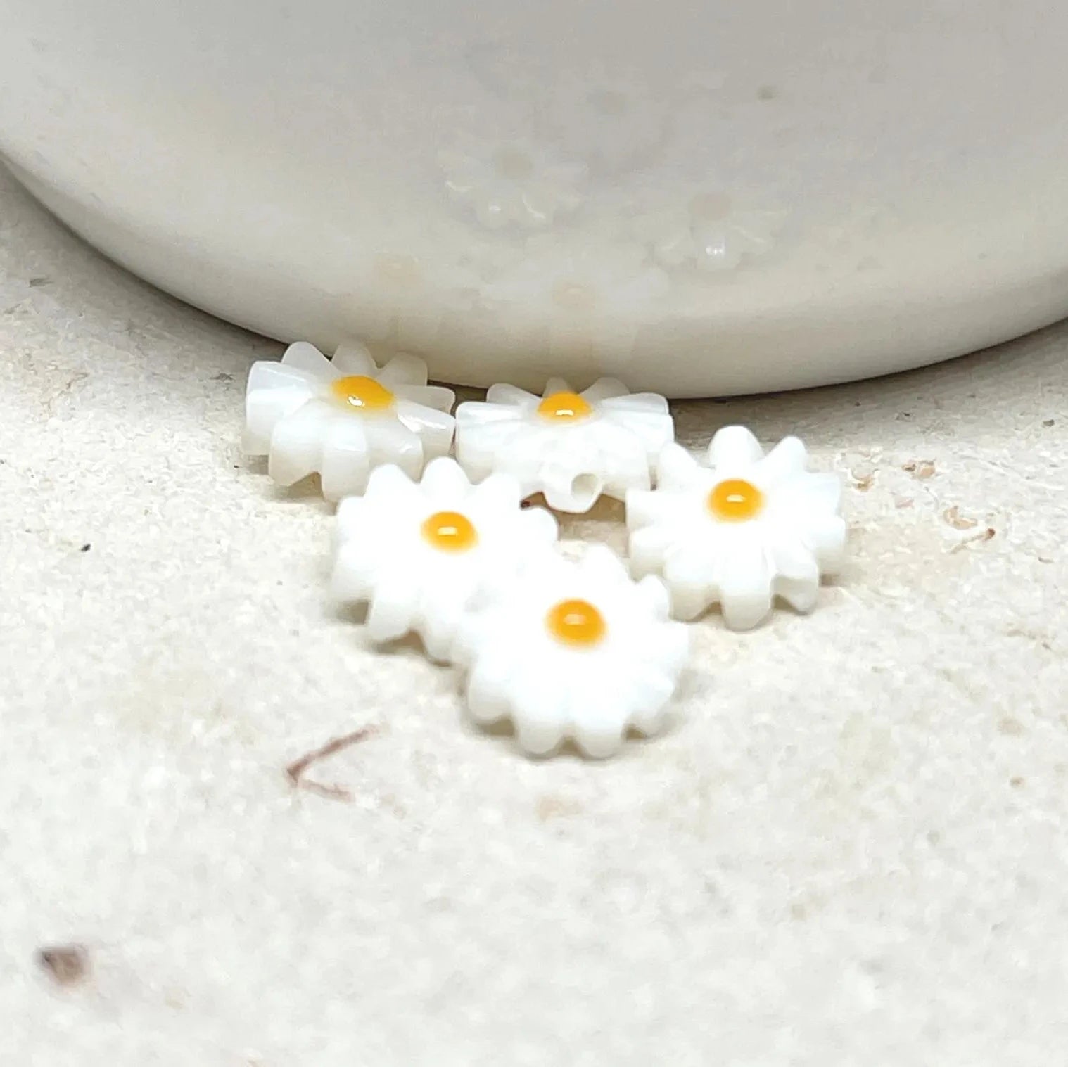 Perlmutt Gänseblümschen Blume 10mm