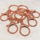 Schlüsselanhänger mit KaraSchlüsselanhänger mit Karabinerverschluss