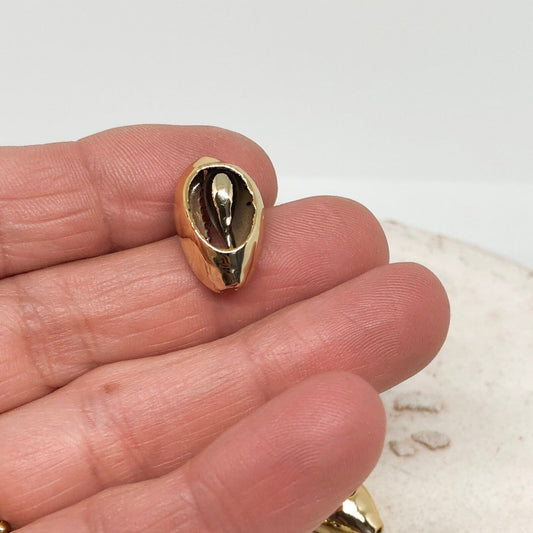3 St. Verbinder Muschel Caurimuschel - Goldfarben