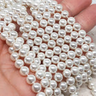 Muschelkern Perlen 4/6/8/10mm in Weiß