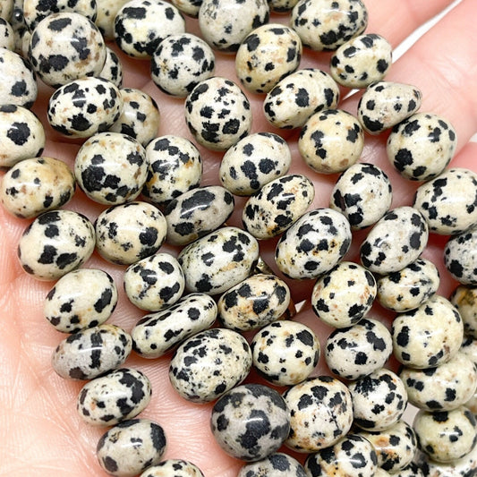 Dalmatiner Jaspis Edelstein Perlen Nuggets 5mm - 10mm