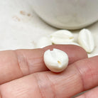 20 St. Acryl Muschel Perlen