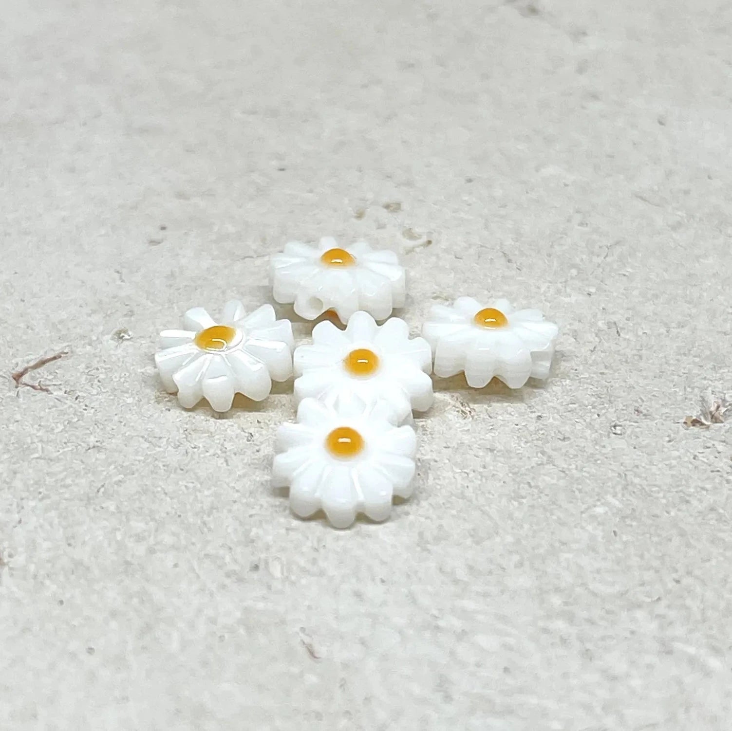 Perlmutt Gänseblümschen Blume