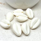 20 St. Acryl Muschel Perlen