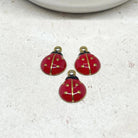 3.St. Käfer Anhänger aus Edelstahl- Emaille, Ionenbeschichtet, einseitig gearbeitet.