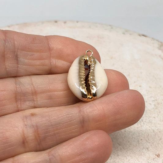 2 St. Cauri Muschel, Muschel Anhänger, Muschelschmuck, Anhänger Cauri Muschel beige