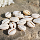 Mucshel Beige